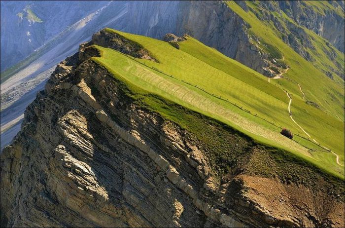 3623822_f1 (700x462, 90Kb)
