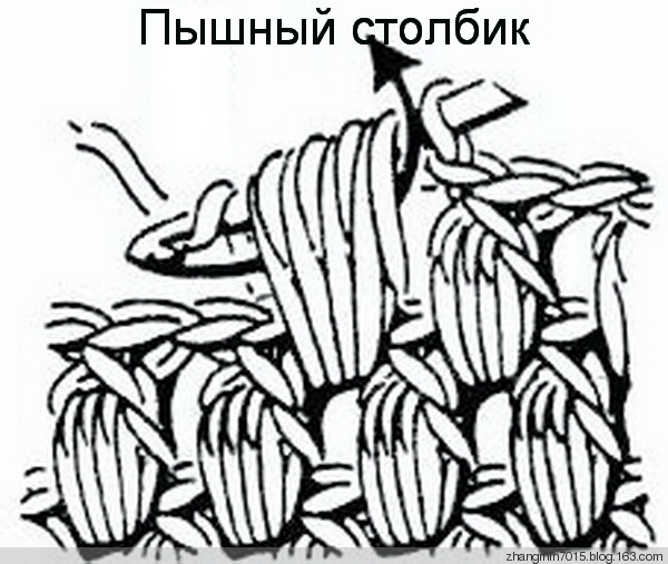 1369540465_3036833523749258816 (600x507, 83Kb)