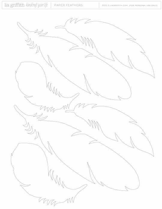 шаблон перьев (540x700, 42Kb)