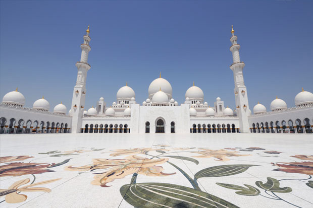 3_Sheikh_Zayed_Grand_Mosque^1 (620x413, 94Kb)
