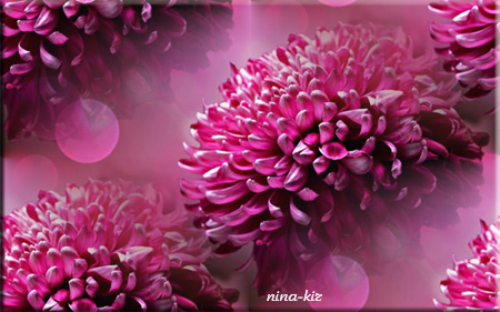 -2 (450x281, 268Kb)