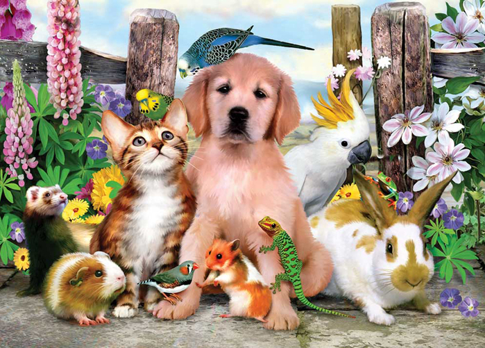 cats_and_dogs_17 (700x501, 410Kb)