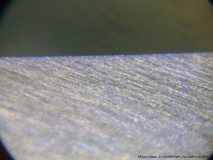 DSC08778 (700x525, 227Kb)