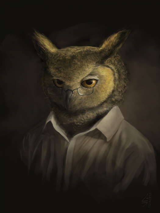 5303019_serious_owl_is_watching_you__better_behave_by_meteorskiesd4nze1b (525x700, 128Kb)