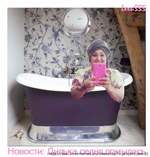 1369825287_Bez_imeni1 (490x510, 113Kb)