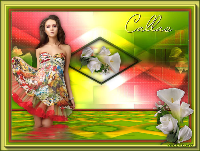 Callas (700x528, 104Kb)