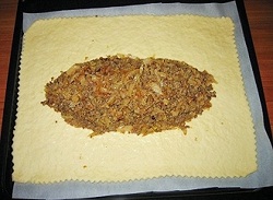 meat-pirog-krokodil-04 (250x183, 26Kb)