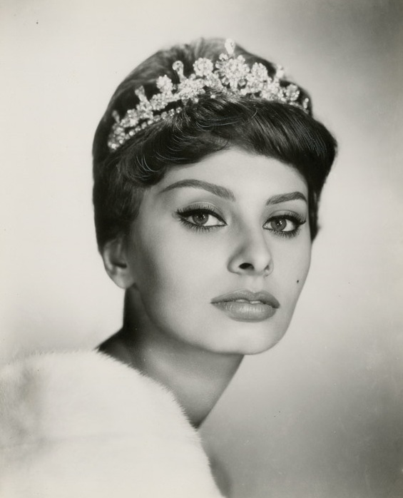 Sophia Loren photo (18) (565x698, 65Kb)