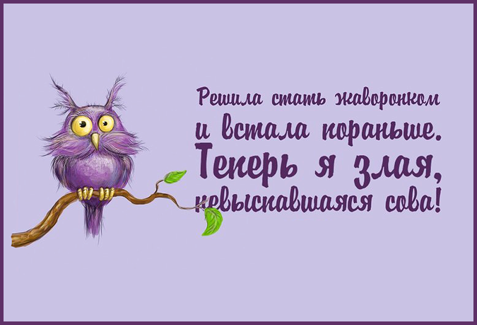 http://img0.liveinternet.ru/images/attach/c/8/101/490/101490146_large_sova.png