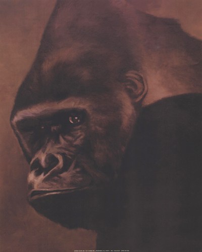 gorilla-grande-by-t-c-chiu (400x497, 22Kb)