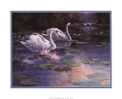 swans-and-waterfall-by-t-c-chiu-663593 (400x324, 26Kb)