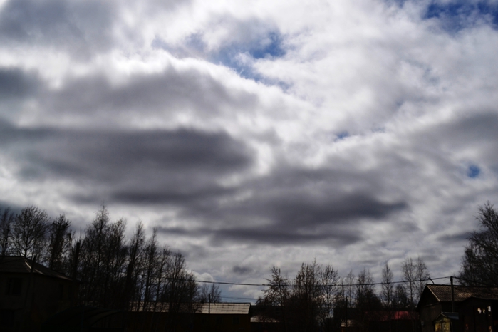 DSC_0006 (700x466, 171Kb)