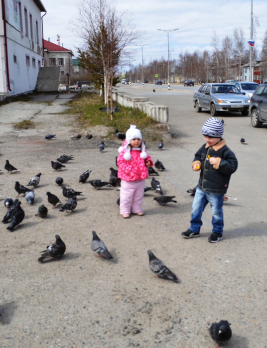 DSC_0056 (536x700, 276Kb)