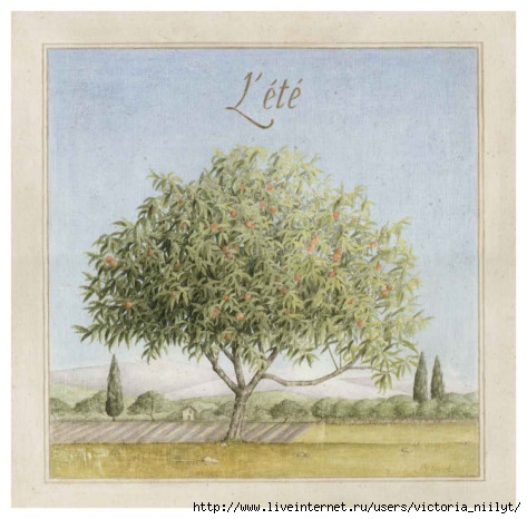 vincent-perriol-arbre-en-ete (473x466, 135Kb)