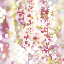 x_48c3149b (125x125, 31Kb)