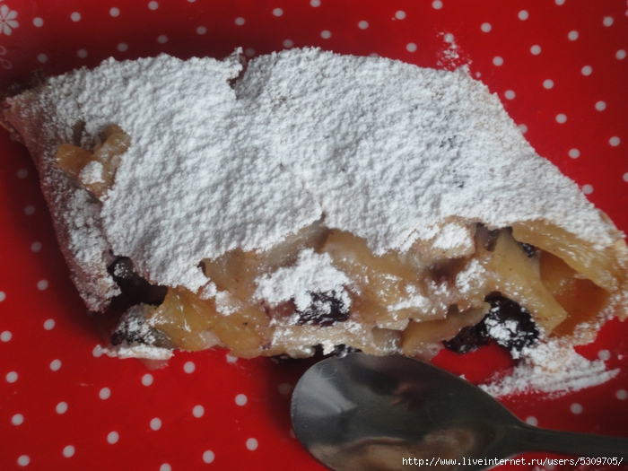 DSC07131 (700x525, 286Kb)