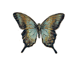  1278200112_55_FT0_chad-barrett-butterfly-etching (289x258, 62Kb)