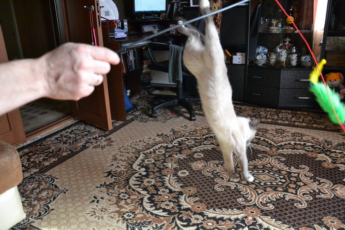 DSC_0019_  (700x466, 149Kb)