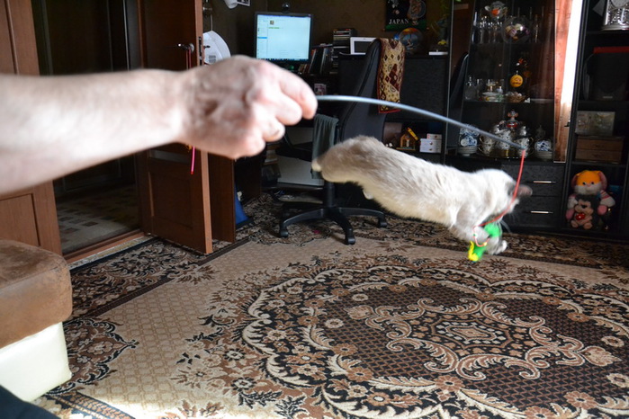 DSC_0018_  (700x466, 139Kb)
