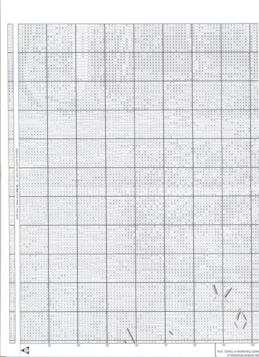  .jpg11 (507x700, 146Kb)