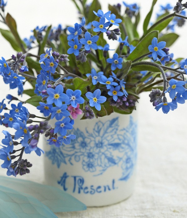 Forgetmenot (600x700, 123Kb)