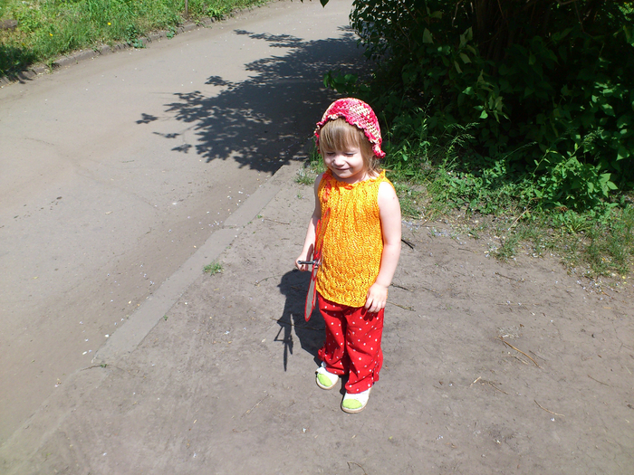 DSC_2285 (700x525, 536Kb)