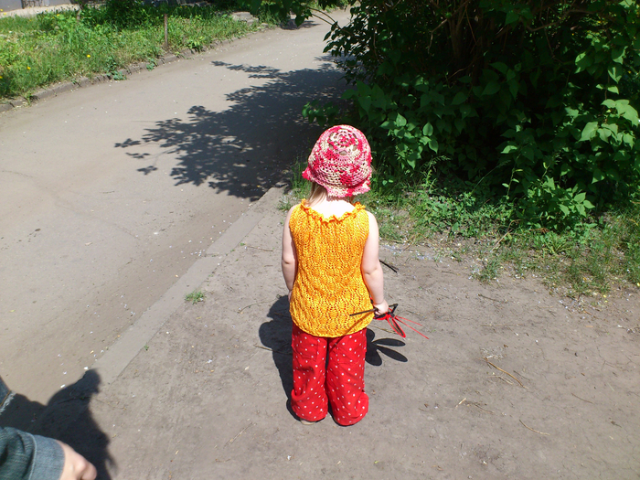 DSC_2291 (700x525, 563Kb)