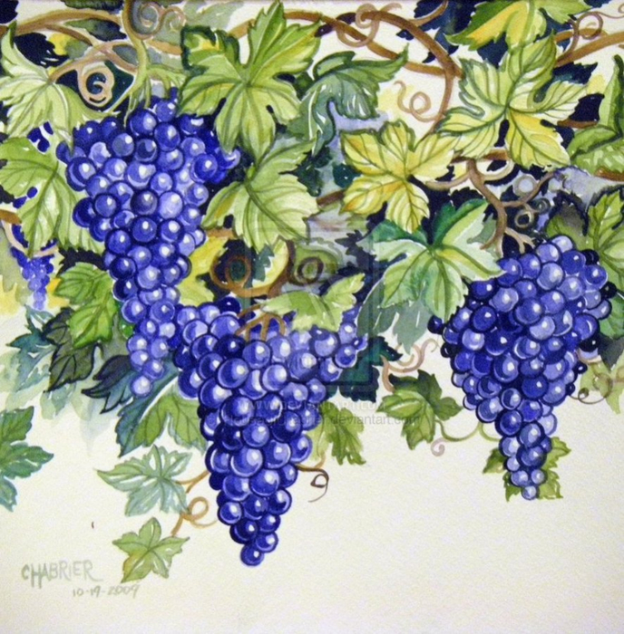Grapes_Almost_Ripe_by_HouseofChabrier (688x700, 566Kb)