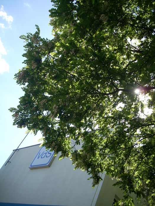 03 Juni 2013 022 (525x700, 291Kb)