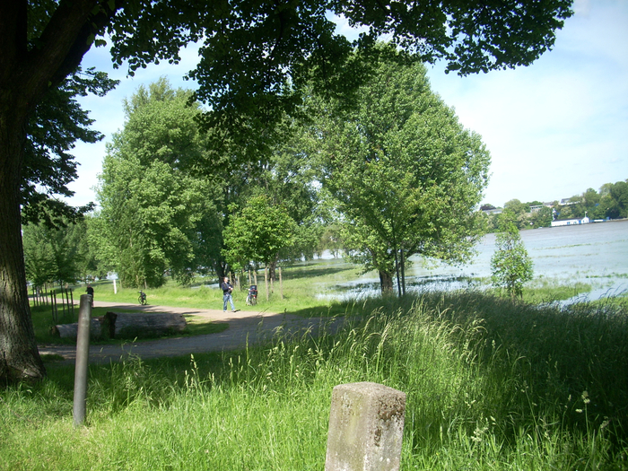 03 Juni 2013 085 (700x525, 588Kb)