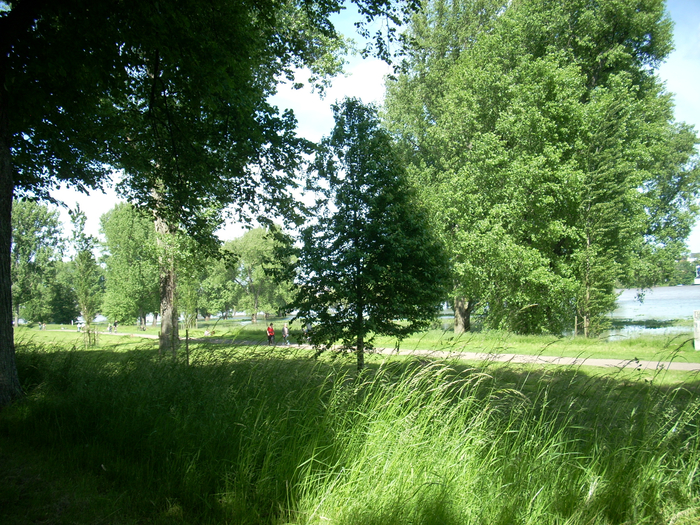 03 Juni 2013 087 (700x525, 629Kb)