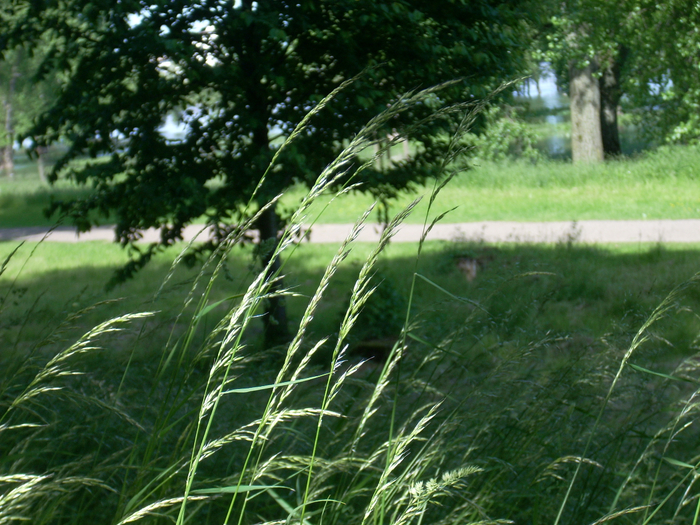 03 Juni 2013 104 (700x525, 515Kb)