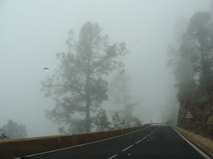 El Teide   06 (700x525, 121Kb)