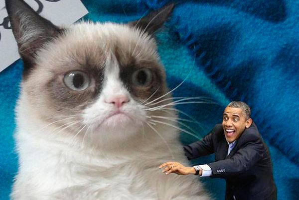 grumpycat (600x403, 127Kb)