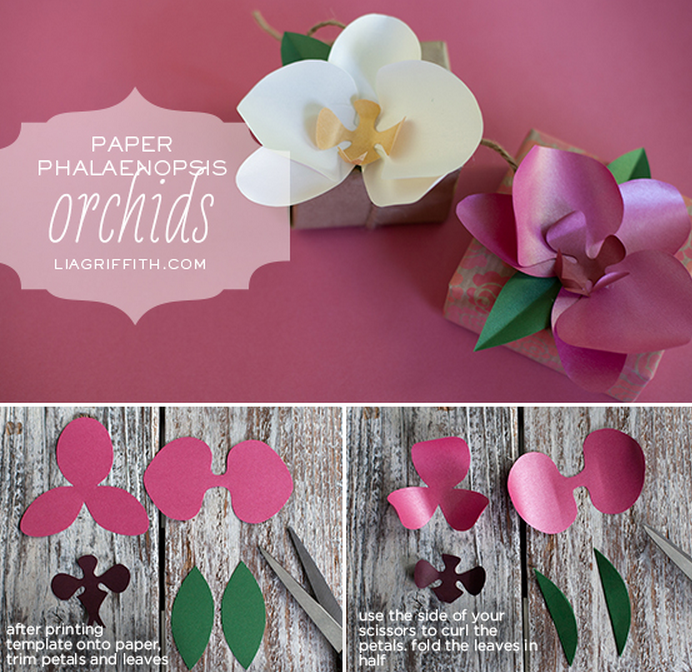 Орхидея из бумаги для украшения подарка. Шаблоны (1) (692x672, 996Kb)