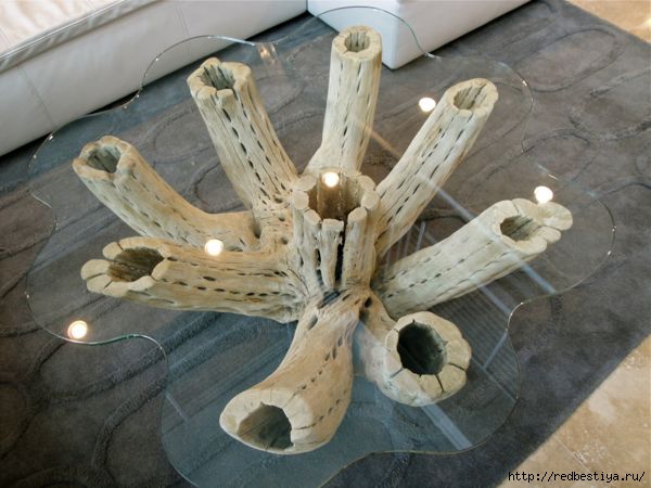 Cactus-Coffee-table-installed-contemporary-top (600x450, 129Kb)