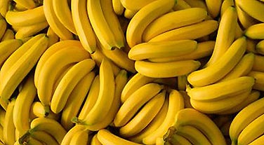 3869930_05163704_302182_8423 (376x207, 22Kb)