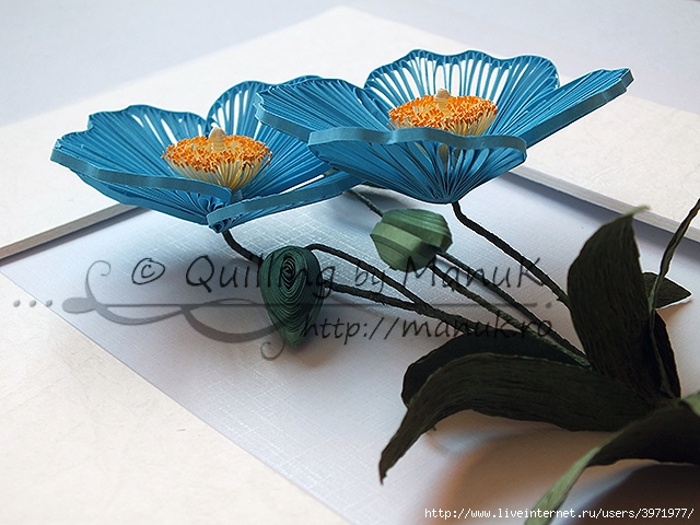 quilled-blue-poppy-side-view (640x480, 252Kb)