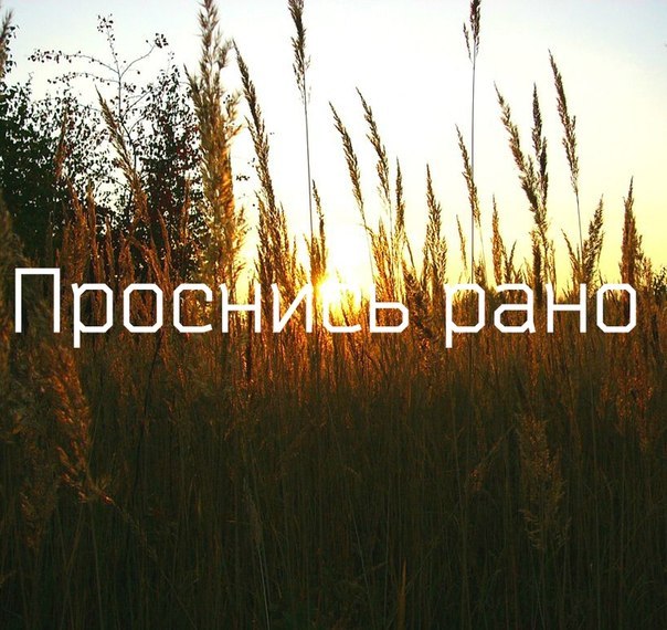 4279149_1 (604x570, 95Kb)