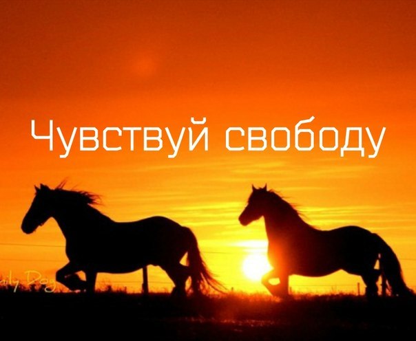 4279149_3 (604x496, 39Kb)