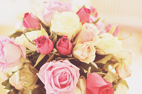 1386318_tumblr_lxappxTaZS1qep6eto1_500 (500x332, 193Kb)
