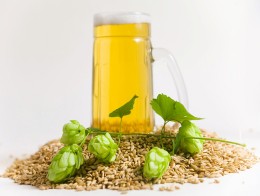 4721164_pivo (260x196, 12Kb)