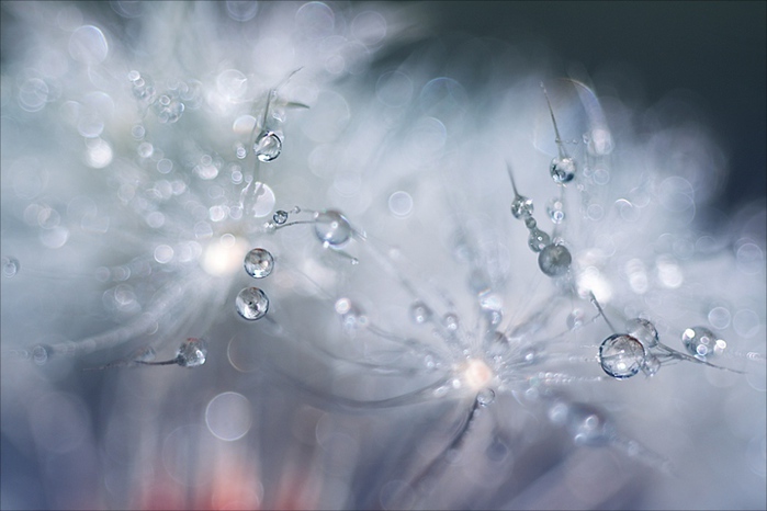 2 (700x466, 98Kb)
