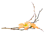 91461251_pp (150x112, 11Kb)