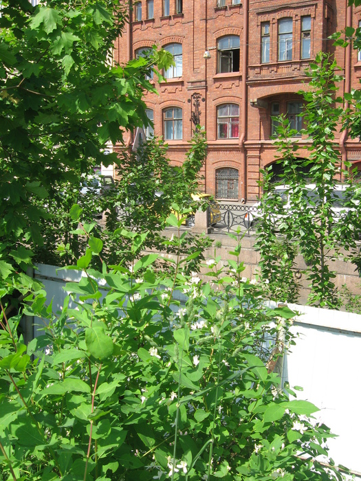 IMG_0028 (525x700, 313Kb)