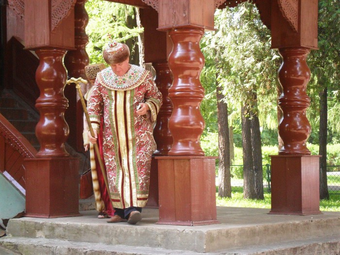 SAM_3294 (700x525, 133Kb)