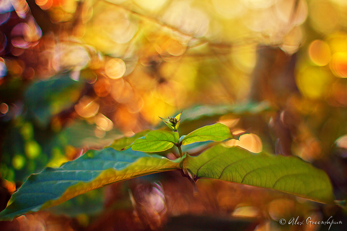 8 (700x466, 334Kb)
