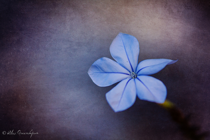 16 (700x466, 279Kb)
