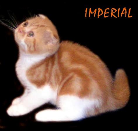 3245507_890cd4379a17 (472x450, 17Kb)