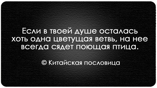 Очень высоко сказано. Люди подобны вину если с годами. Высказывания про вину человека. Цитаты про вину человека. Женщина как вино с годами становится цитаты.